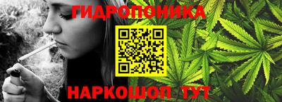 прущие грибы Бугуруслан