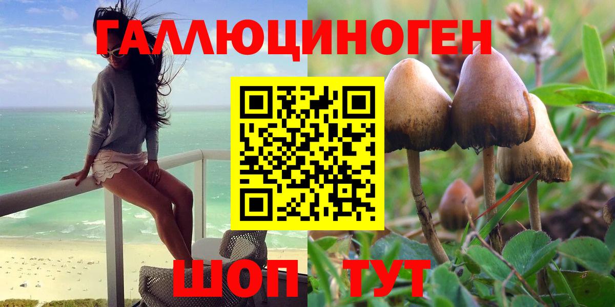 дарнет шоп  Вход с VPN  Семилуки  Псилоцибиновые грибы Psilocybine cubensis 