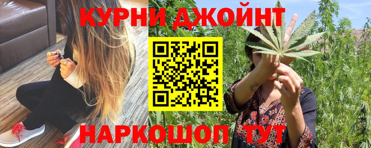 Каннабис сатива  Вход с VPN  Семилуки  Каннабис VHQ 